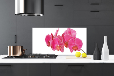 Kitchen Splashback Flowers floral red