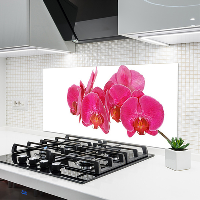 Kitchen Splashback Flowers floral red