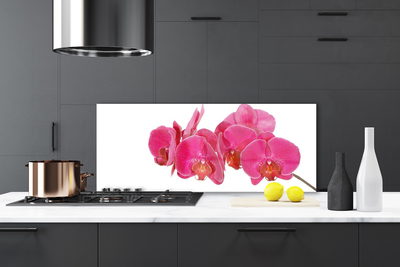 Kitchen Splashback Flowers floral red