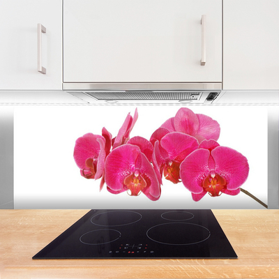 Kitchen Splashback Flowers floral red