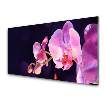 Kitchen Splashback Flowers floral pink purple