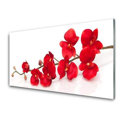 Kitchen Splashback Flowers floral red