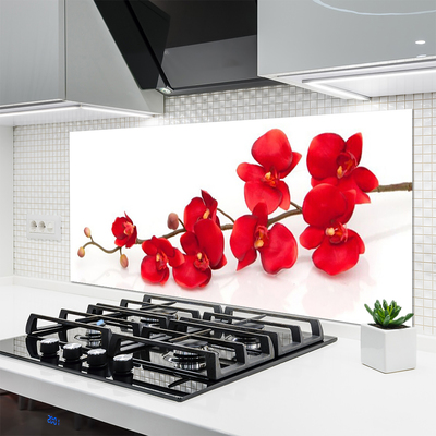 Kitchen Splashback Flowers floral red