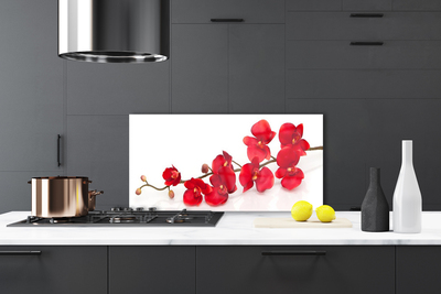 Kitchen Splashback Flowers floral red