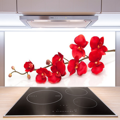 Kitchen Splashback Flowers floral red