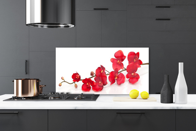 Kitchen Splashback Flowers floral red