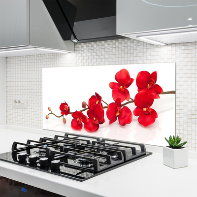 Kitchen Splashback Flowers floral red