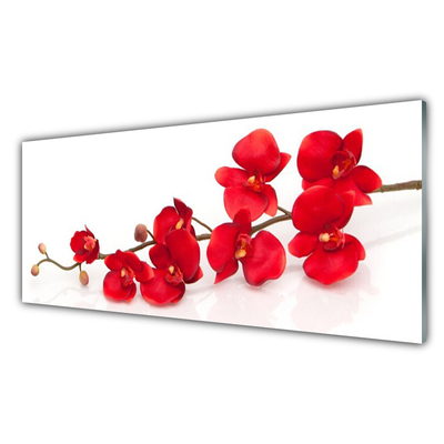 Kitchen Splashback Flowers floral red