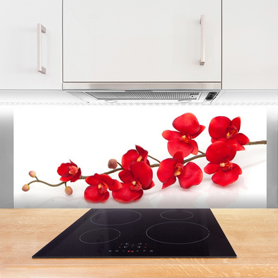 Kitchen Splashback Flowers floral red