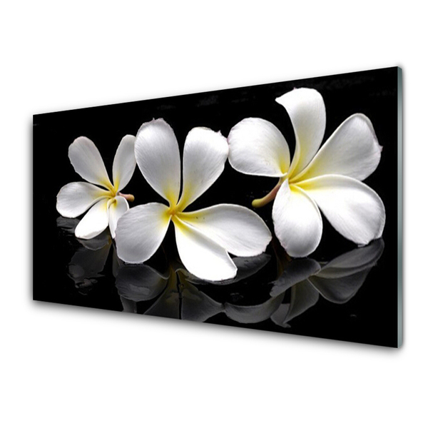 Kitchen Splashback Flowers floral white black