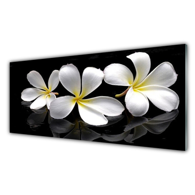 Kitchen Splashback Flowers floral white black