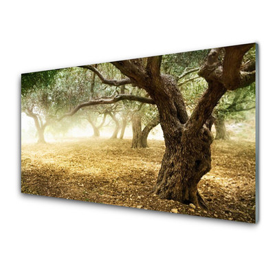 Kitchen Splashback Trees grass nature green brown