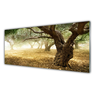 Kitchen Splashback Trees grass nature green brown