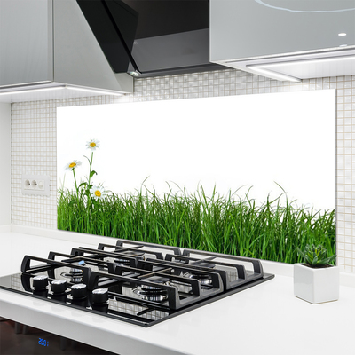 Kitchen Splashback Weed nature green