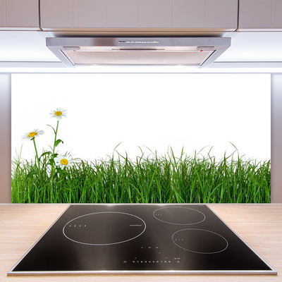 Kitchen Splashback Weed nature green