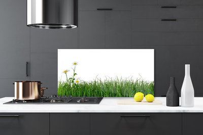 Kitchen Splashback Weed nature green