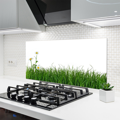 Kitchen Splashback Weed nature green