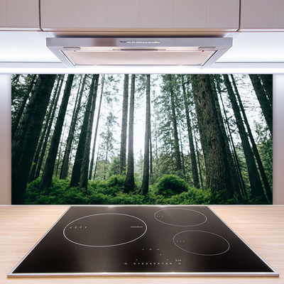 Kitchen Splashback Forest nature brown green