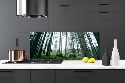 Kitchen Splashback Forest nature brown green