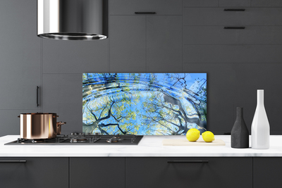 Kitchen Splashback Water trees art blue brown