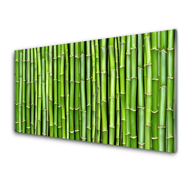 Kitchen Splashback Bamboo floral green