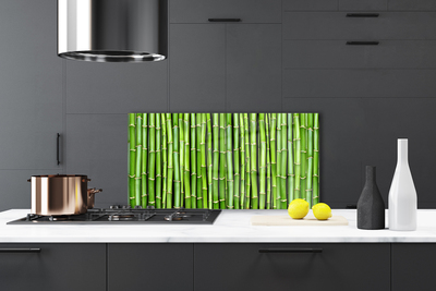 Kitchen Splashback Bamboo floral green