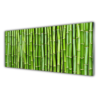 Kitchen Splashback Bamboo floral green