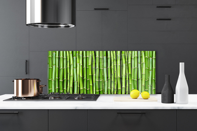 Kitchen Splashback Bamboo floral green