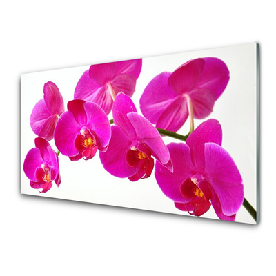 Kitchen Splashback Flowers floral red