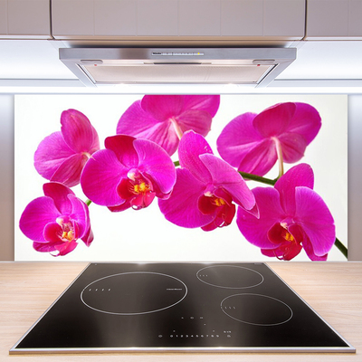 Kitchen Splashback Flowers floral red