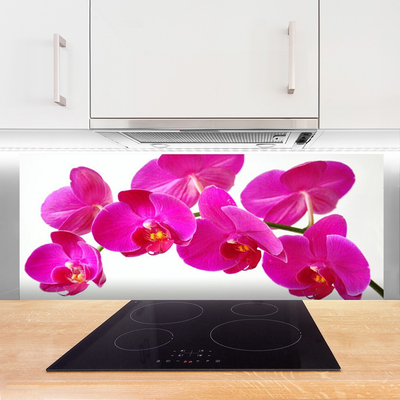 Kitchen Splashback Flowers floral red