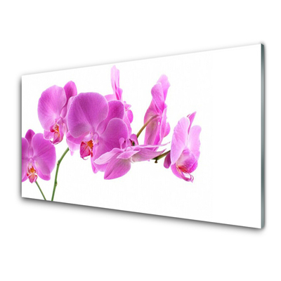 Kitchen Splashback Flowers floral pink