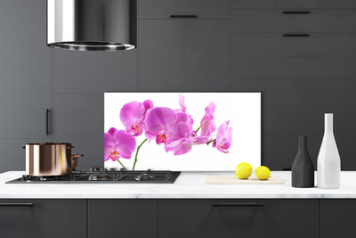 Kitchen Splashback Flowers floral pink