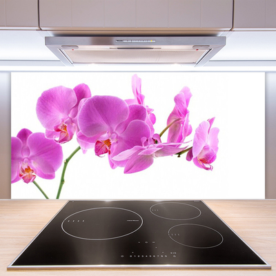 Kitchen Splashback Flowers floral pink