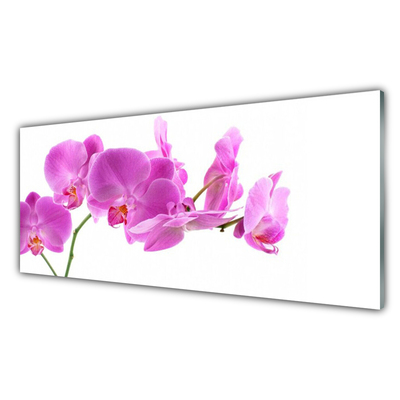 Kitchen Splashback Flowers floral pink