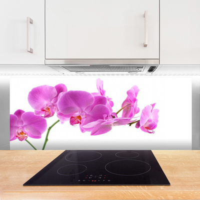 Kitchen Splashback Flowers floral pink