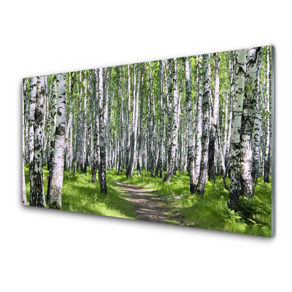 Kitchen Splashback Forest footpath nature green brown white black