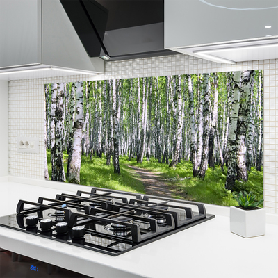 Kitchen Splashback Forest footpath nature green brown white black