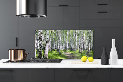 Kitchen Splashback Forest footpath nature green brown white black