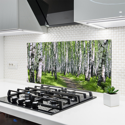 Kitchen Splashback Forest footpath nature green brown white black