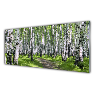 Kitchen Splashback Forest footpath nature green brown white black