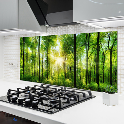 Kitchen Splashback Forest nature green brown