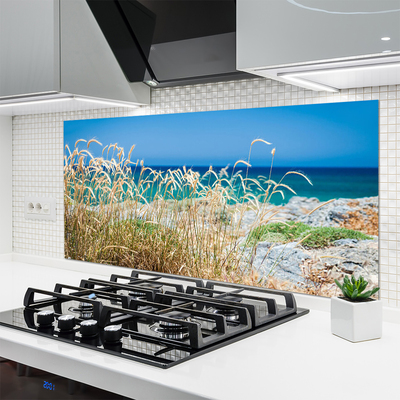 Kitchen Splashback Beach landscape brown