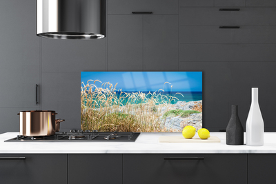 Kitchen Splashback Beach landscape brown