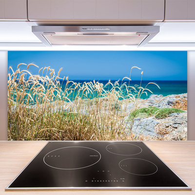 Kitchen Splashback Beach landscape brown