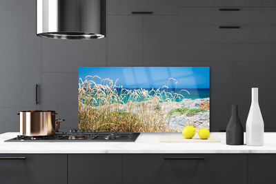 Kitchen Splashback Beach landscape brown