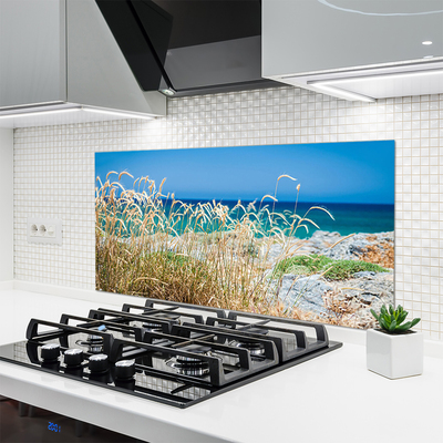 Kitchen Splashback Beach landscape brown