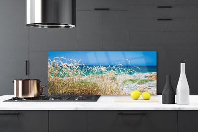 Kitchen Splashback Beach landscape brown