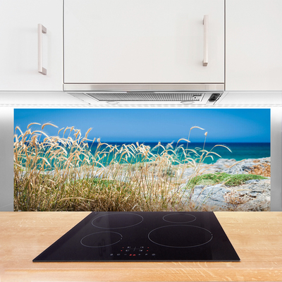 Kitchen Splashback Beach landscape brown