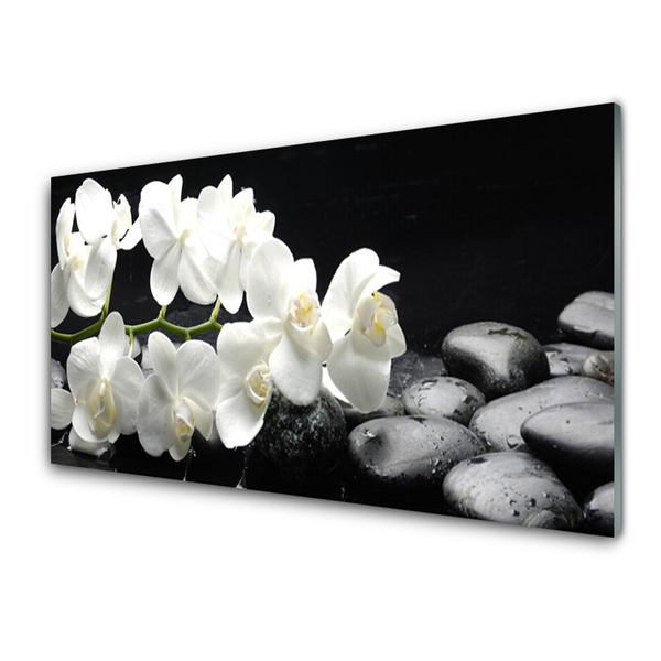 Kitchen Splashback Flower stones floral white black